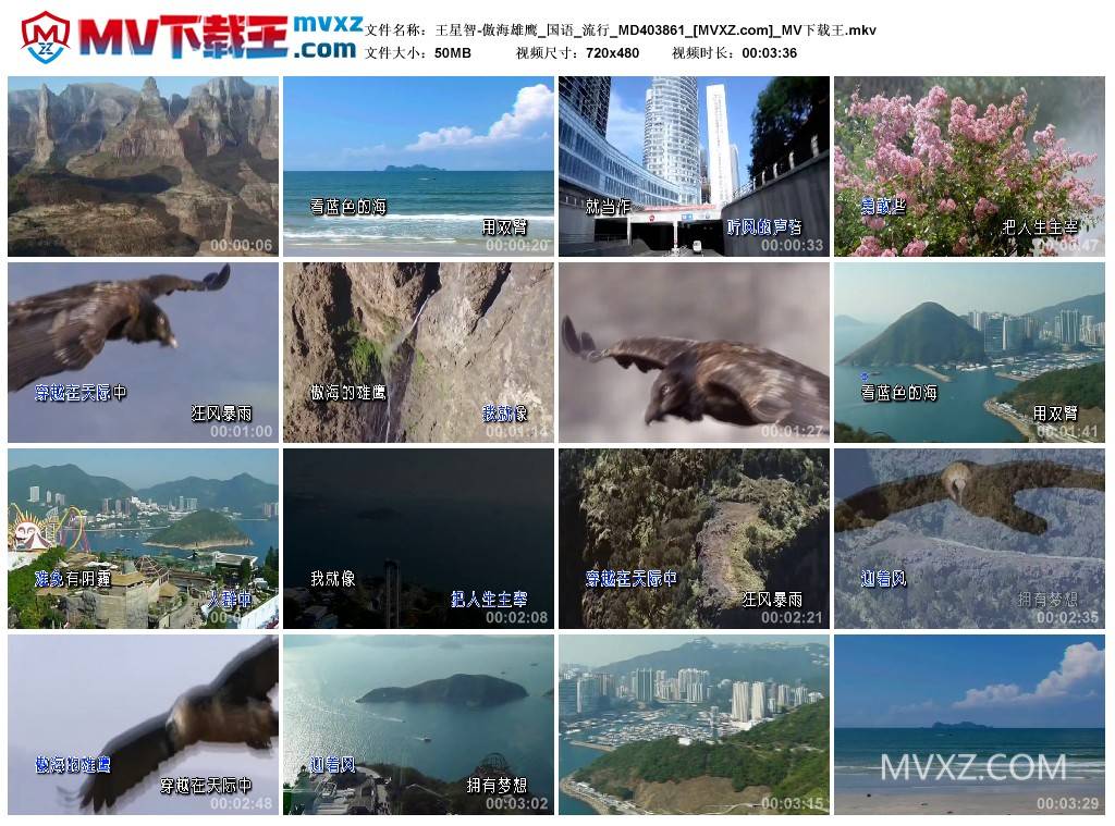 王星智-傲海雄鹰_国语_流行_MD403861